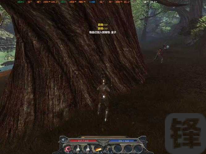 神界2龙裔vs龙骑士传奇！90%玩家都弄错的超燃差异解析